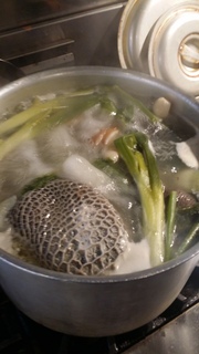 20170304_114933.jpg