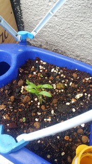 20190425_093818.jpg