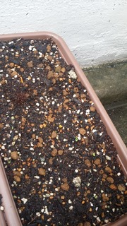 20190425_093827.jpg