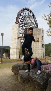20190503_163620.jpg