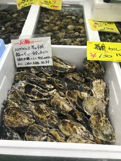 8B3683CF-E7DD-4D2B-8767-DFFFFA9486C7.jpeg