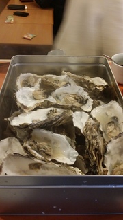 20180204_121118.jpg